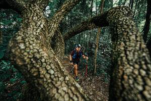 BIB: 
                            <button type="button" onclick="openModal(25392687)" class="btn btn-primary btn-sm float-right btn-popup" data-toggle="modal" data-target=".modal-high-quality">
                        <i class="fas fa-shopping-cart"></i> Add to Cart
                    </button>
                                            <button type="button" onclick="isThisMe(25392687, true)" class="btn btn-success btn-sm float-right btn-popup btn-isme hidden" data-toggle="tooltip" data-placement="bottom" title="นี่คือรูปของคุณใช่ไหม คลิกที่นี่เพื่อเอาเข้าอัลบั้ม">
                        <i class="fas fa-plus"></i> Add to album
                    </button>
                    <button type="button" onclick="isThisMe(25392687, false)" class="btn btn-warning btn-sm float-right btn-popup btn-isnotme hidden">
                        <i class="fas fa-ban"></i> Remove from album
                    </button>